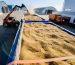 atg_orders_img_22062_50850
